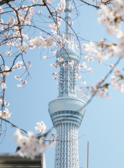 Tokyo Skytree