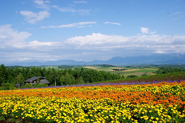 Hokkaido Japan