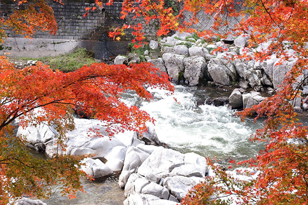 Korankei Japan