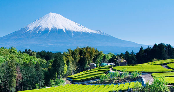 Mount Fuji