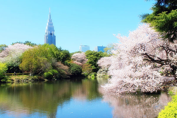 Shinjuku Gyoen