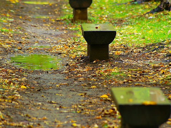 Aki-same (Autumn Rain)