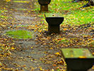 Aki-same (Autumn Rain)