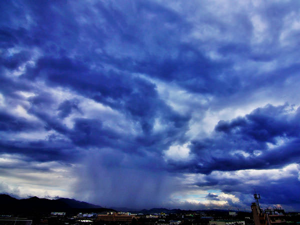 Guerrilla Rainstorm Japan