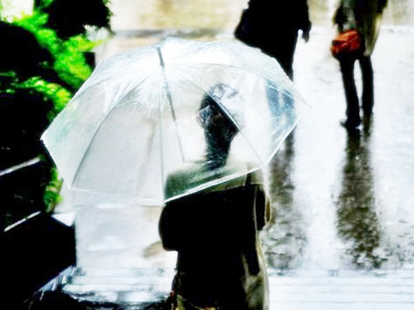 Vinyl Umbrella