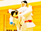 Karate Japan