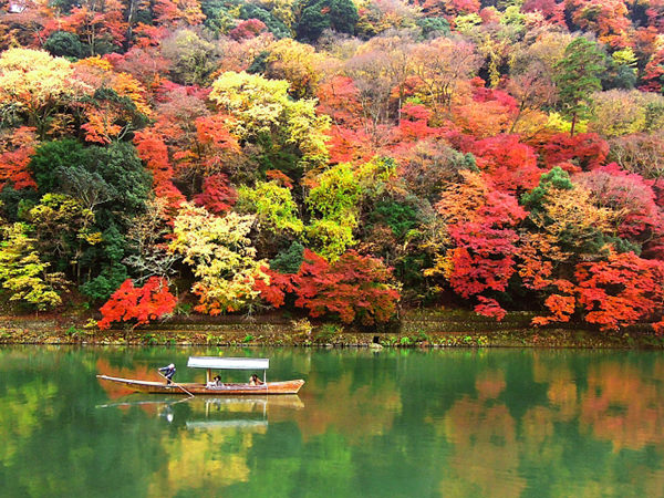 Momiji-gari