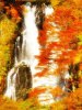 Kirifuri Falls Japan
