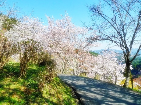 Mount Yoshino Japan