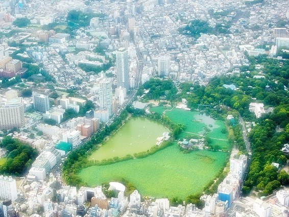 Shinobazu Pond