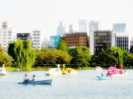 Shinobazu Pond Japan