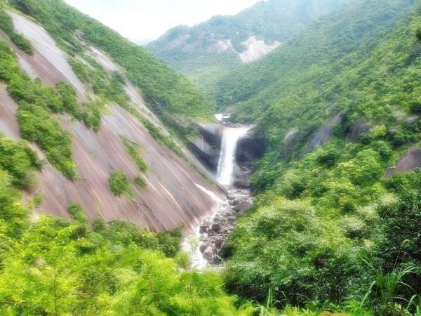 Yakushima National Park