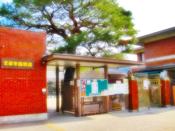 Kyoto Municipal Zoo