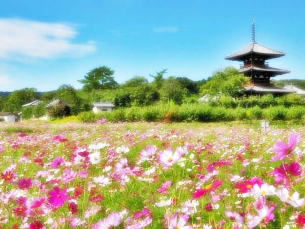 Hokki-ji Japan