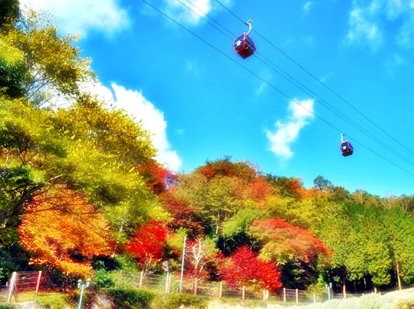 Shin-Kobe Ropeway