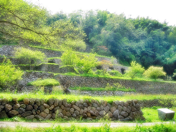 Iwami Ginzan