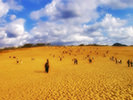Tottori Sand Dunes Japan