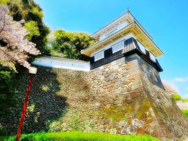 Kushima Castle