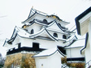 Hikone Castle Japan