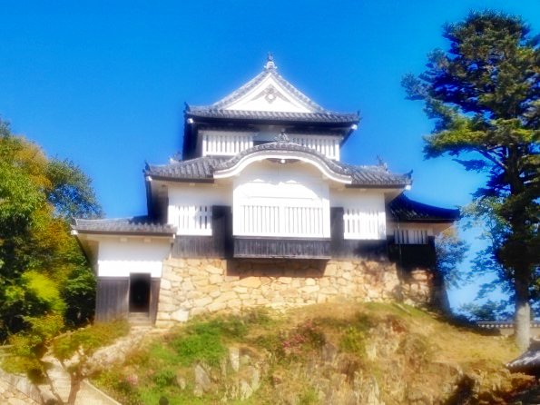 Bitchu Matsuyama Castle