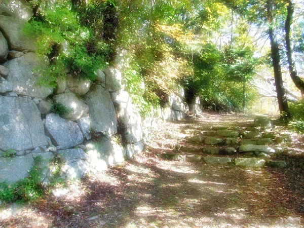 Kannon-ji Castle Japan