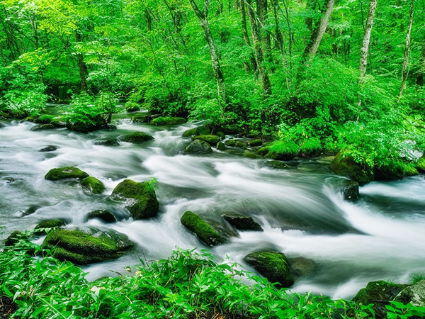 Aomori Japan